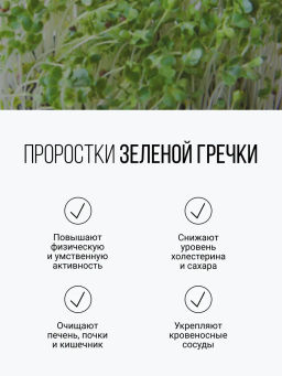 Смесь из семи видов проростков 200г (пшеница, полба, спельта, рожь, овес, чечевица, зеленая гречка)