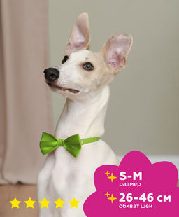 Бабочка "Бэта", зеленая неон размер S-M,ош26см-46см бз14S-M 11сд22