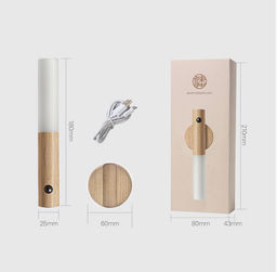 Светильник настенный сенсорный. С датчиком движения. usb - Family фото 4