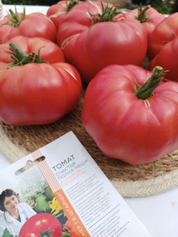 Томат СЧАСТЬЯ ПОЛНА ЧАША коллекция Татьяны Штайнерт Авторская селекция - Уральский дачник фото 4