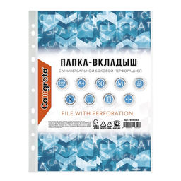 Файл - вкладыш Calligrata, А4, 35 мкм, матовый, вертикальный, 100 штук