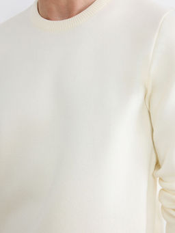 Bisiklet Yaka Erkek Triko Kazak