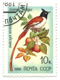 Марка Певчие птицы Райская мухоловка 1981 год