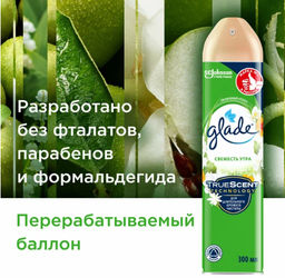 ГЛЕЙД освежитель-аэрозоль 300мл Свежесть утра