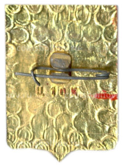 Значок Владимир