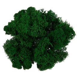 Blumentag BMSR-50 Мох стабилизированный окрашенный 50 г  5 г №01 салатовый  фото 11