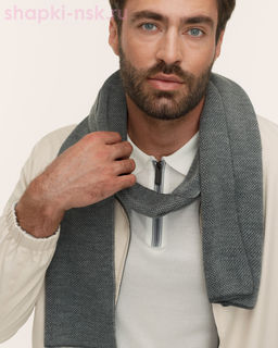 M 494 Шарф мужской (170 x 20)