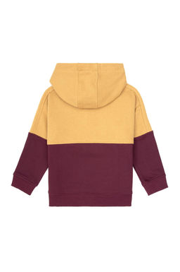 Erkek _ocuk Bordo Kap__onlu Sweatshirt - U.s. polo assn фото 5