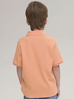 Pelican BFTP3321/1 футболка для мальчиков  фото 2