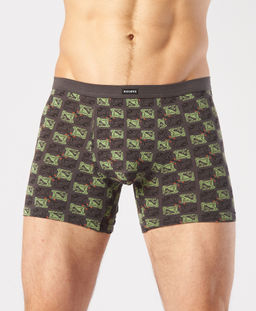 Трусы мужские боксеры Rogers 8702 хлопок, эластан размеры M, L, XL, 2XL фото 9