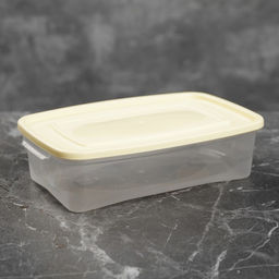 Цена за 2 шт. Контейнер пищевой Полимербыт «Каскад», 700 мл, пластик, прозрачный, крышка МИКС