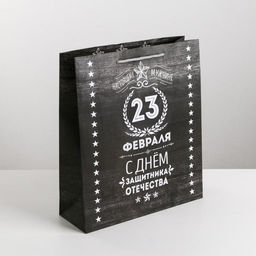 Цена за 2 шт. Пакет подарочный ламинированный, упаковка, С 23 февраля, MS 18?23?10 см