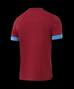 Футболка игровая JOGEL DIVISION PerFormDRY Union Jersey, гранатовый/голубой/белый фото 3