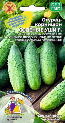 Огурец СОЛЁНЫЕ УШИ F1 Сладкий, хрустящий и невероятно щедрый! Теневыносливый! Засолочный! Хорошая урожайность!