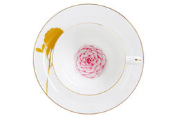 Чашка с блюдцем Миддлемист, 0,25 л - Anna lafarg emily фото 6