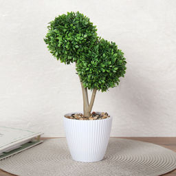 Цветочная композиция Зелень самшит 28 см / 9090-9 /уп 9/72/ - Галеонтрейд фото 11