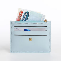 Картхолдер с монетницей на молнии, цвет голубой