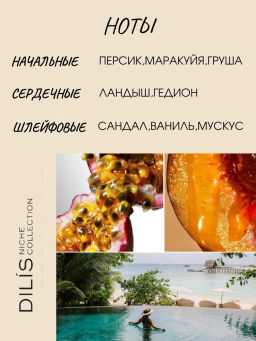 Dilis Духи экстра #7 MUSC NECTAR Niche Collection 50 мл  фото 2