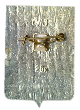 Значок Рославль