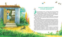 Волшебник Изумрудного города (нов.обл.). Волков А. - Махаон фото 7