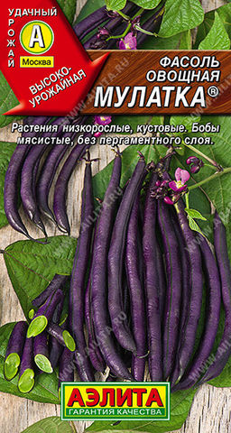 Фасоль овощная Мулатка (2030