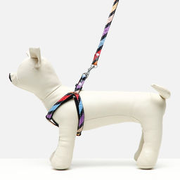 Комплект амуниции двухслойный, размер S, поводок 120 х 1 см, ОШ 24-38 см, ОГ 29-41 см, разноцветный - Пижон фото 6