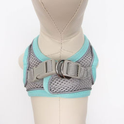 Комплект с мягкой шлейкой, размер XXS, поводок 150 х 1,5 см, ОГ 28-30 см, ОШ 24-26 см, бирюз - Пижон фото 3