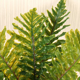 Цветочная композиция Зелень 20 см / 22069 /уп 108/ - Галеонтрейд фото 3