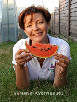 Арбуз Динамит - Партнер фото 3