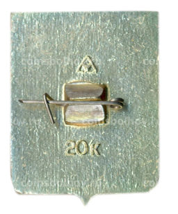 Значок Судогда