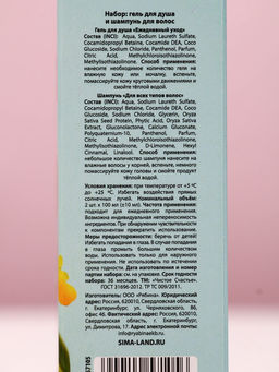 Подарочный набор Сияй от счастья, гель для душа и шампунь для волос, 2?100 мл, Чистое счастье  фото 4