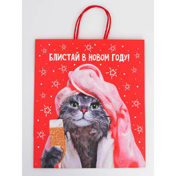 Набор пакетов новогодних крафтовых 5 штук «С Новым годом тебя!», 21 × 12 × 9 см