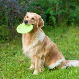 Фрисби НЛО , 18,6 см, жесткая термопластичная резина, зелёный - Пижон фото 7