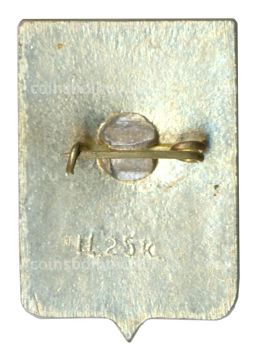 Значок Боровичи