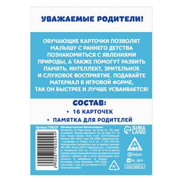 Цена за 2 шт. Обучающие карточки «Явления природы», 16 карт, 3+