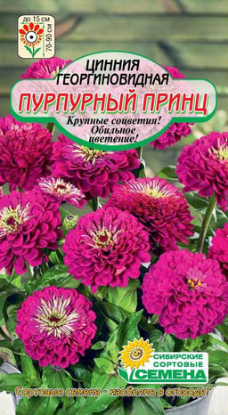 Пурпурный принц цинния 0,3гр (ссс)