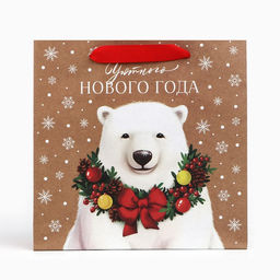 Цена за 2 шт. Пакет подарочный новогодний крафтовый квадратный «Уютного Нового года», 22×22×11 см