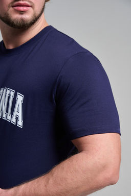 Футболка мужская 8503/1