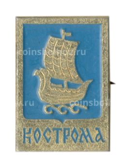 Значок Кострома