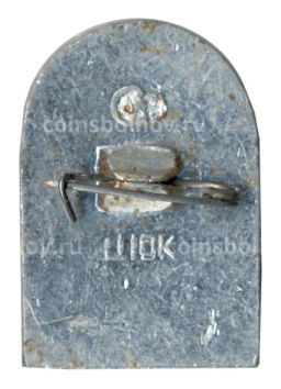 Значок Звенигород Красная башня