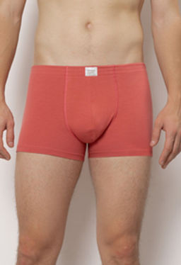 ТРУСЫ МУЖСКИЕ арт. 6523M-40010.1L-538