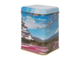 Жасминовые спирали (Mo Li Yu Luo)