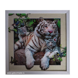Картина 5D 40х40 169 Мама с тигрятами/2009C-012A /