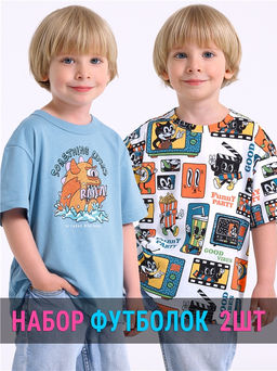 2футболки 2ПДФК5831001н