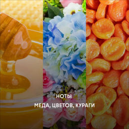 Кофе Эфиопия Лато  фильтр / молотый - Калипсо фото 4