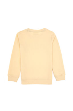 Erkek _ocuk Beyaz Basic Bisiklet Yaka Sweatshirt Sepette S_rpriz _ndirim - U.s. polo assn фото 3