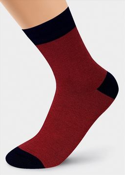 (CLE) Д2203 носки жен. fashion база