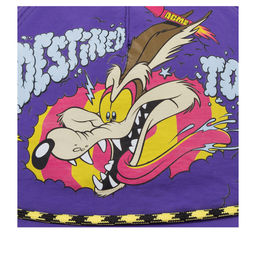 Бейсболка CAPSLAB арт. CL/LOO13/1/CF/DTCB Looney Tunes Wile E. Coyote (сиреневый)