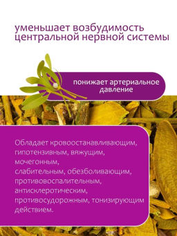 Омела - Травы горного крыма фото 3