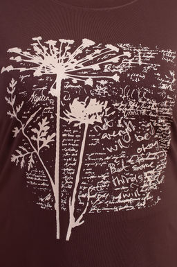 Арт. 3677 Футболка женская 50-58 (5 шт) Цвет:шоколад - Калинка фото 5